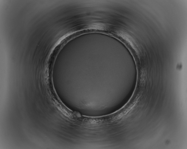 X0000098190923200804241241