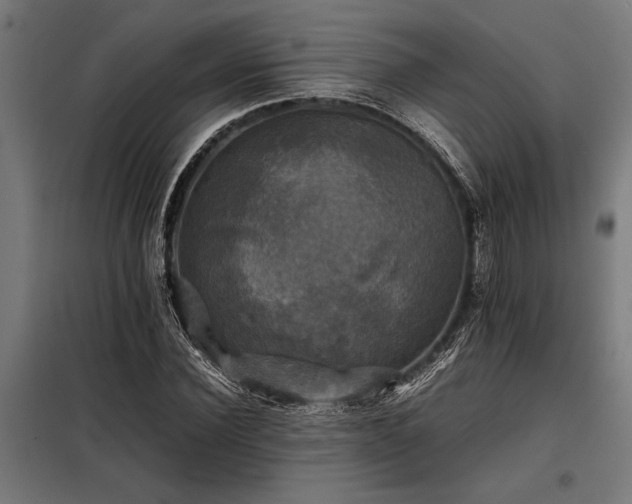 X0000098190924200804241241