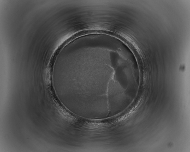 X0000098190925200804241241