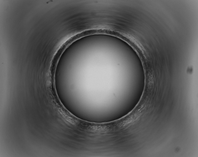 X0000098190927200804241241