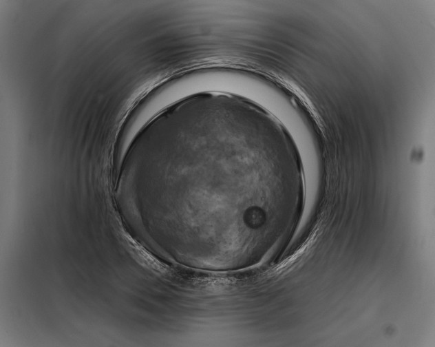 X0000098190930200804241241
