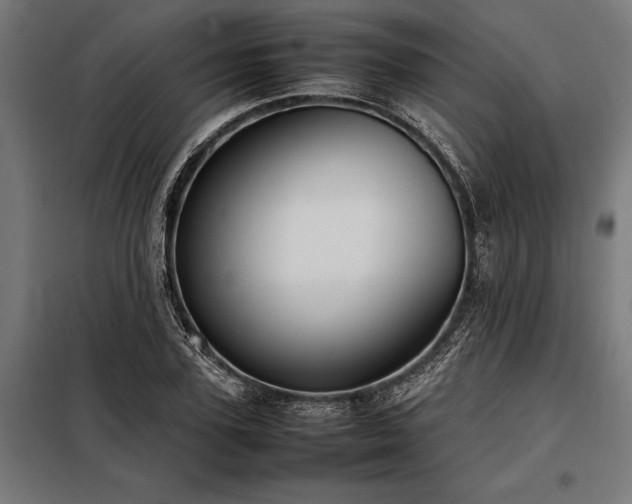 X0000098190931200804241241