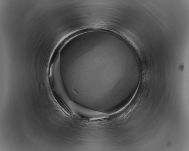 X0000098190932200804241241