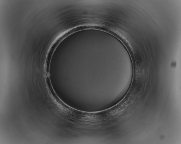 X0000098190935200804241241