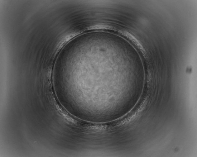 X0000098190937200804241241