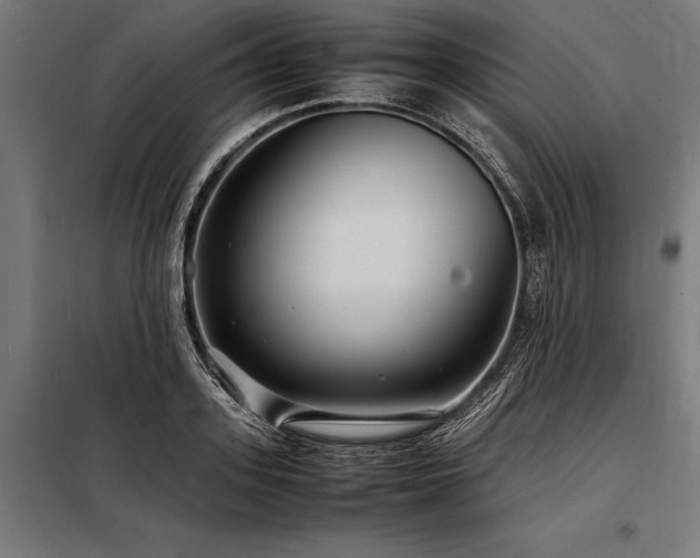 X0000098190939200804241241