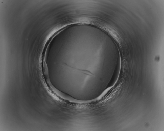 X0000098190944200804241241