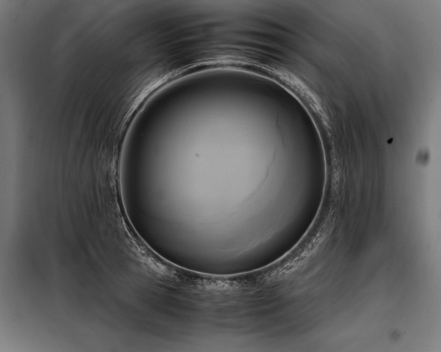 X0000098190945200804241241