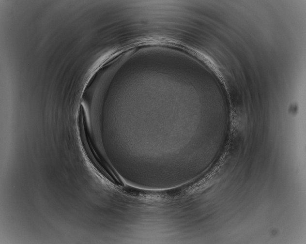 X0000098190946200804241241