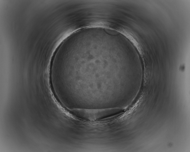 X0000098190949200804241241
