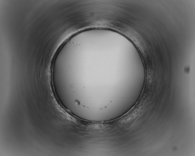 X0000098190950200804241241