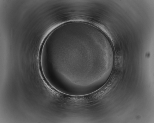 X0000098190951200804241241