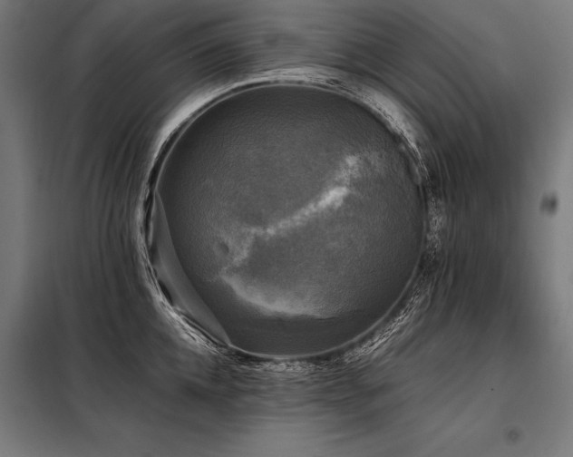 X0000098190952200804241241