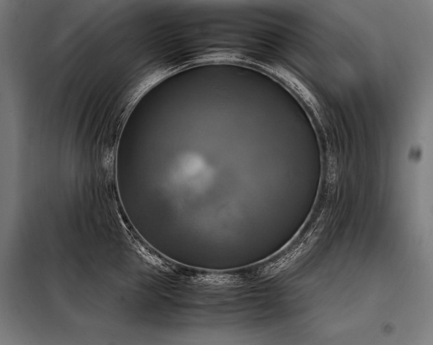 X0000098190953200804241241