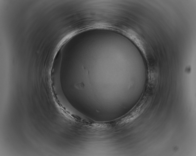 X0000098190954200804241241
