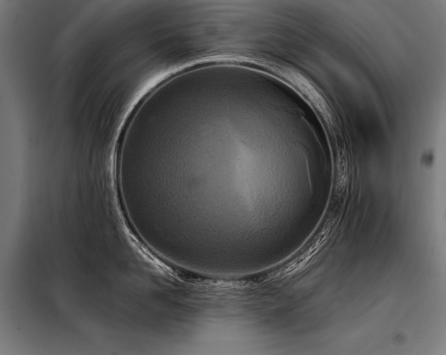 X0000098190958200804241241