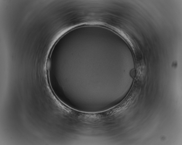 X0000098190959200804241241