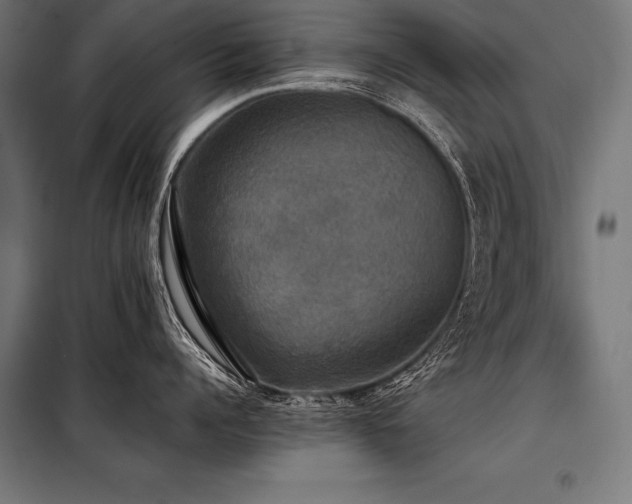 X0000098190960200804241241