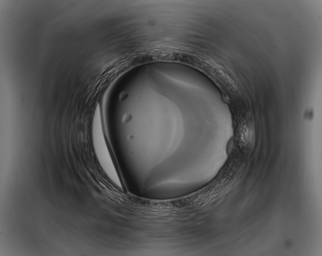 X0000098190964200804241241