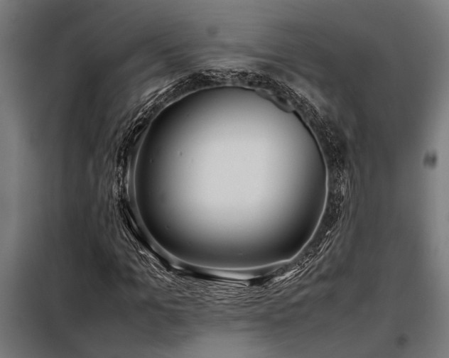 X0000098190965200804241241
