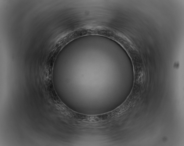 X0000098190966200804241241