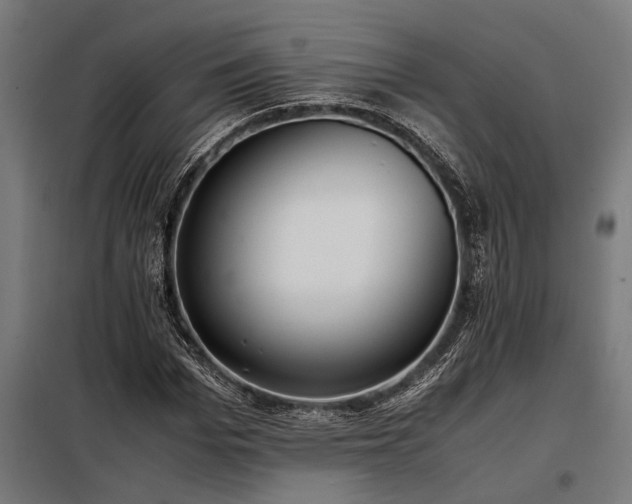 X0000098190969200804241241