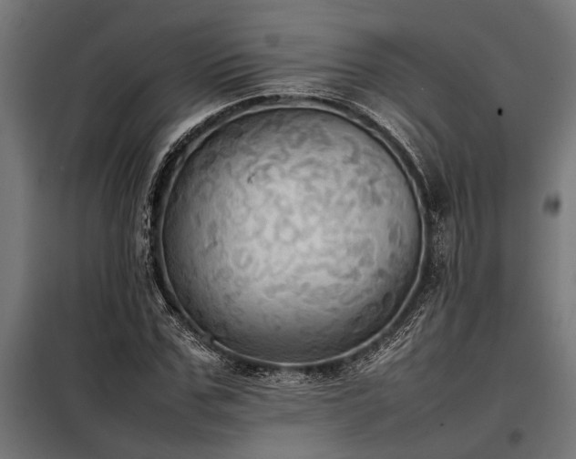 X0000098190971200804241241