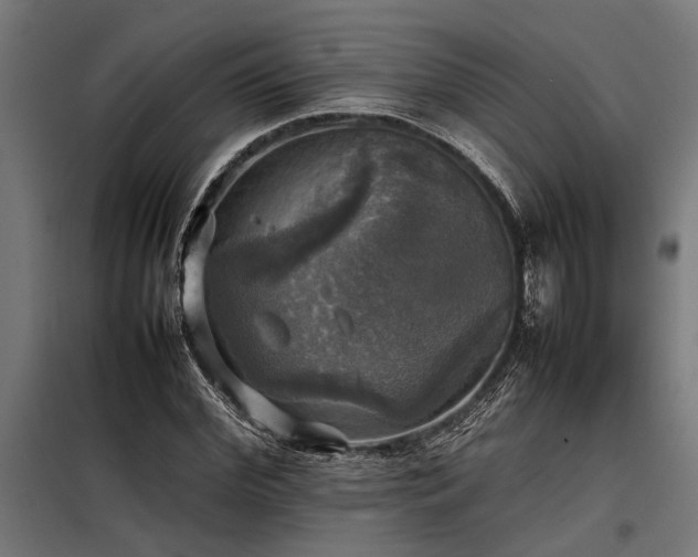 X0000098190972200804241241
