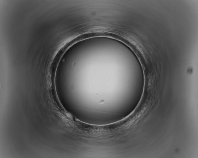 X0000098190973200804241241