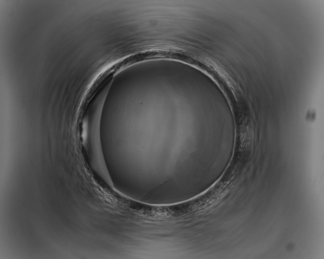 X0000098190975200804241241
