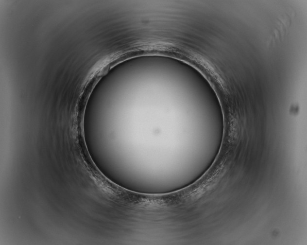 X0000098190978200804241240