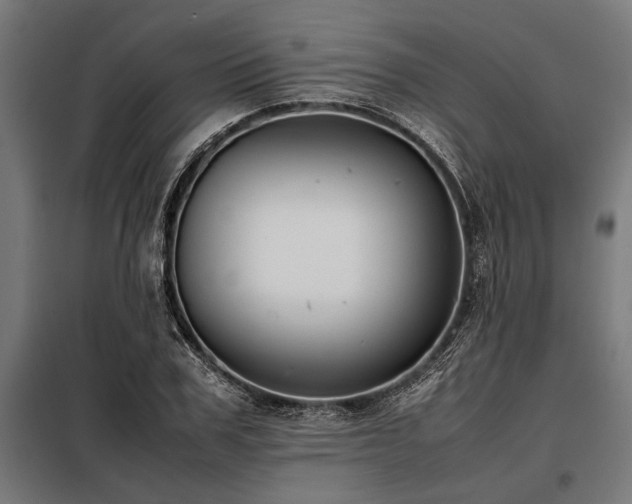 X0000098190979200804241240
