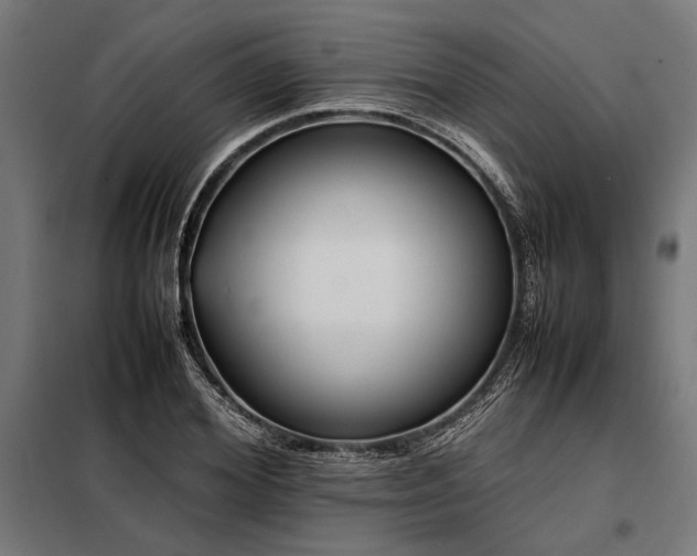 X0000098190980200804241240