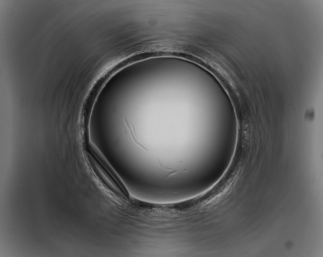 X0000098190981200804241240