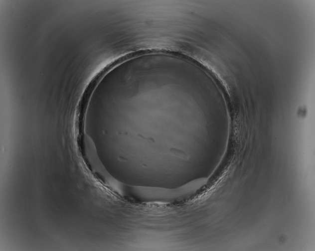 X0000098190983200804241240