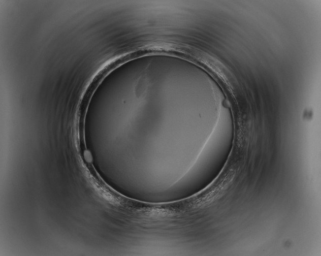 X0000098190984200804241240