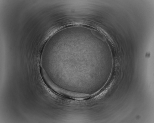 X0000098190985200804241240