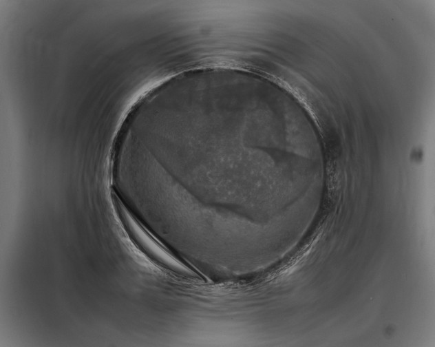 X0000098190987200804241240