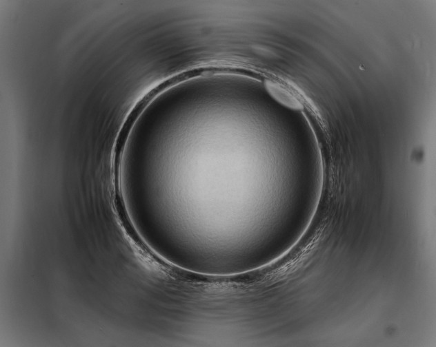 X0000098190988200804241240