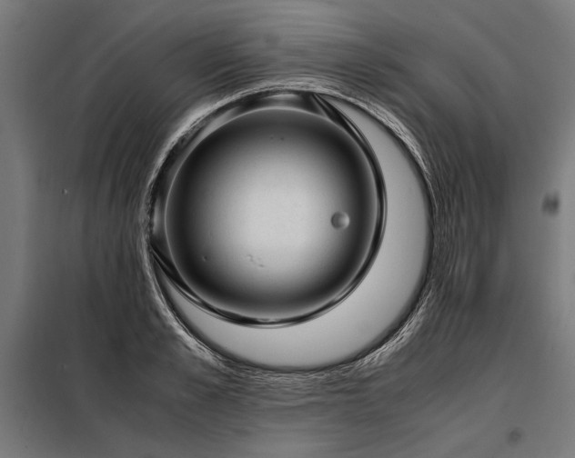 X0000098190989200804241240