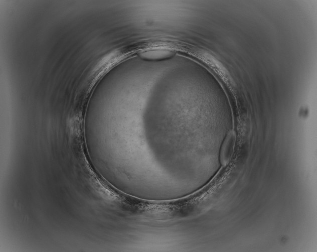 X0000098190993200804241240