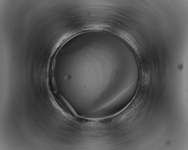 X0000098190994200804241240