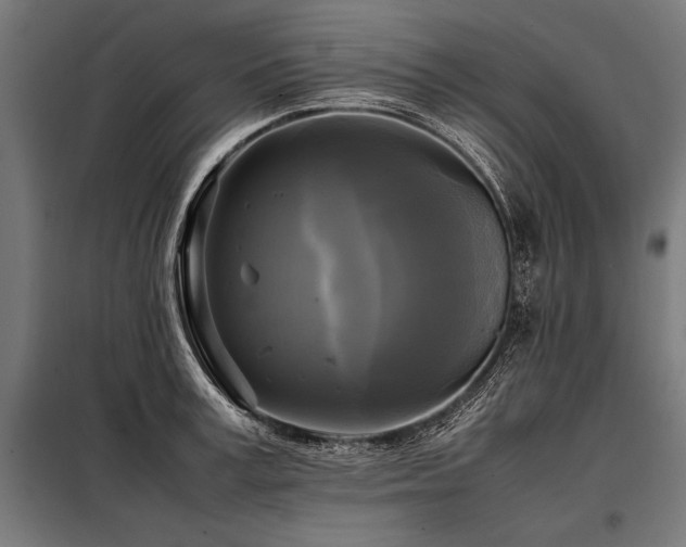 X0000098190995200804241240