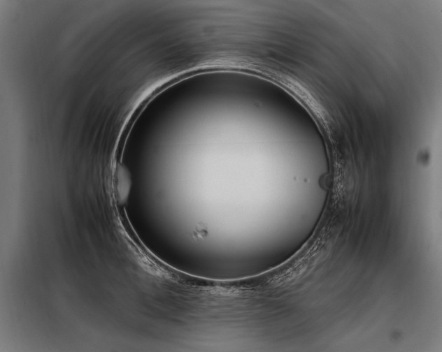 X0000098190996200804241240