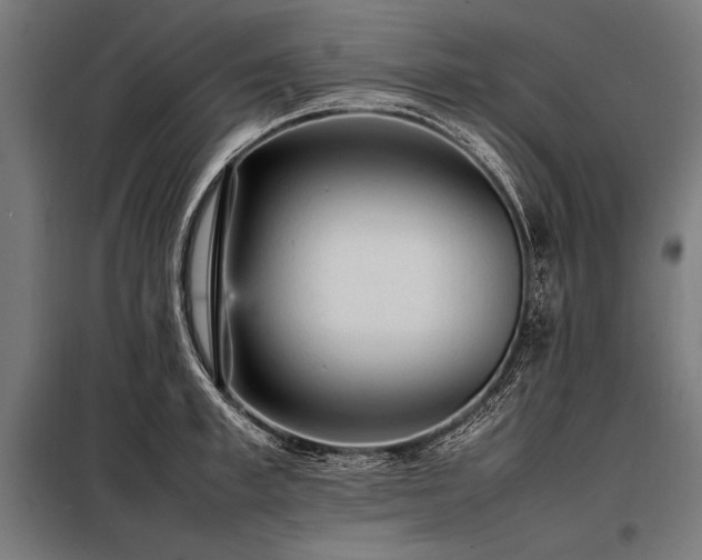 X0000098190997200804241240