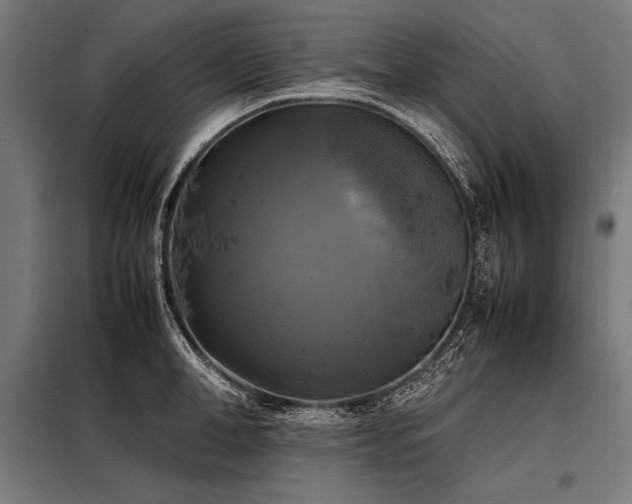 X0000098190998200804241240