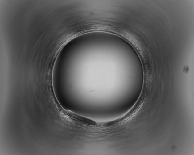 X0000098191001200804241240