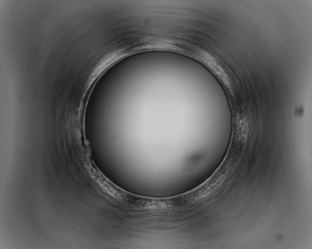 X0000098191002200804241240