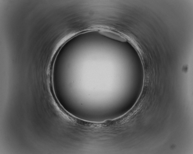 X0000098191003200804241240