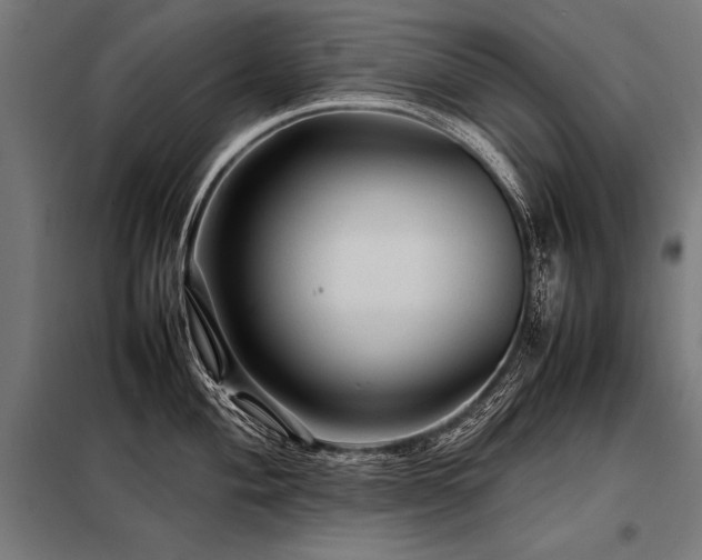 X0000098191004200804241240